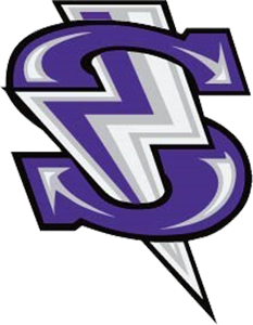 windy city storm logo