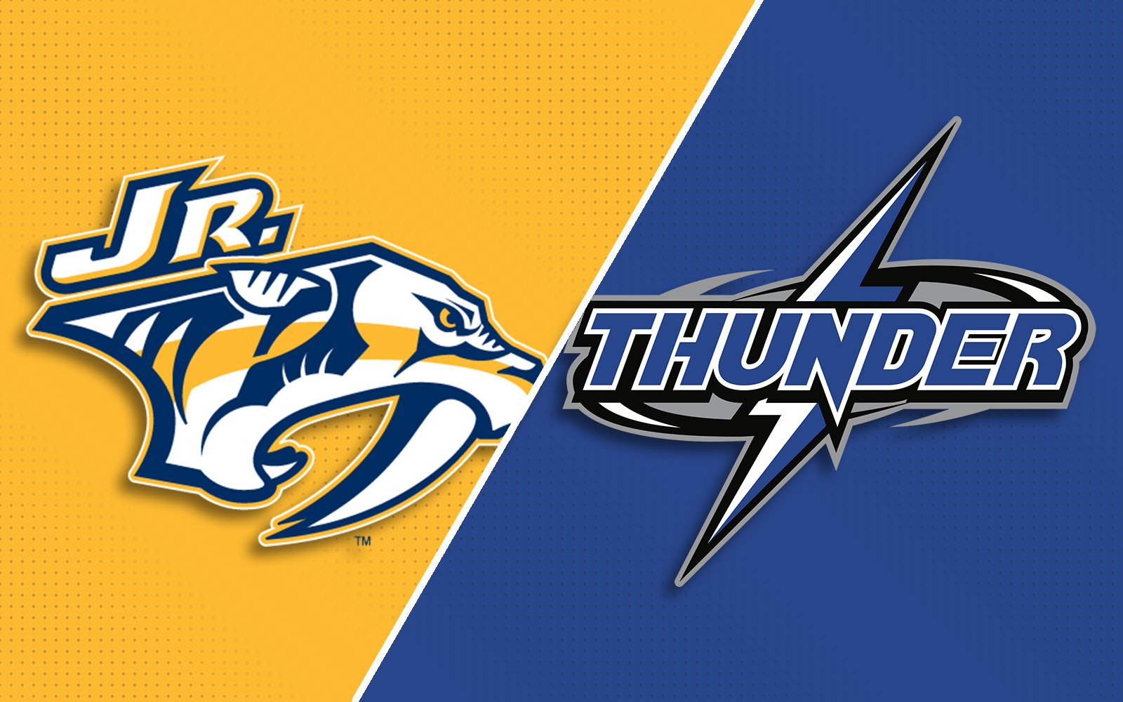 Generic NJP Thunder Post Image