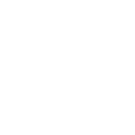 puck (1)