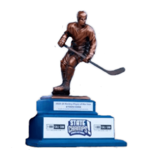 State Champs! Hockey Player of the Year award